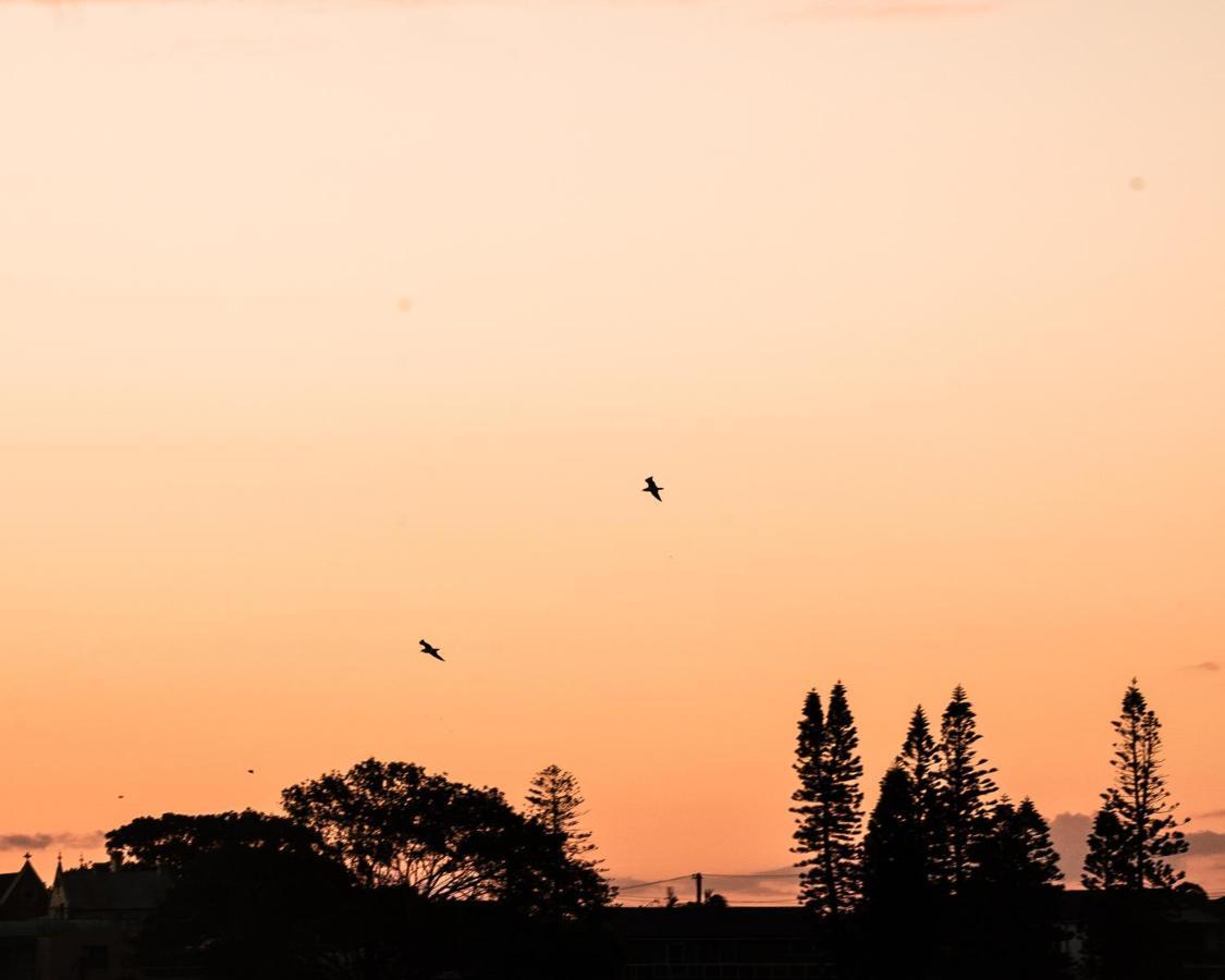 Мотель Terrigal Pacific Coastal Retreat Екстер'єр фото